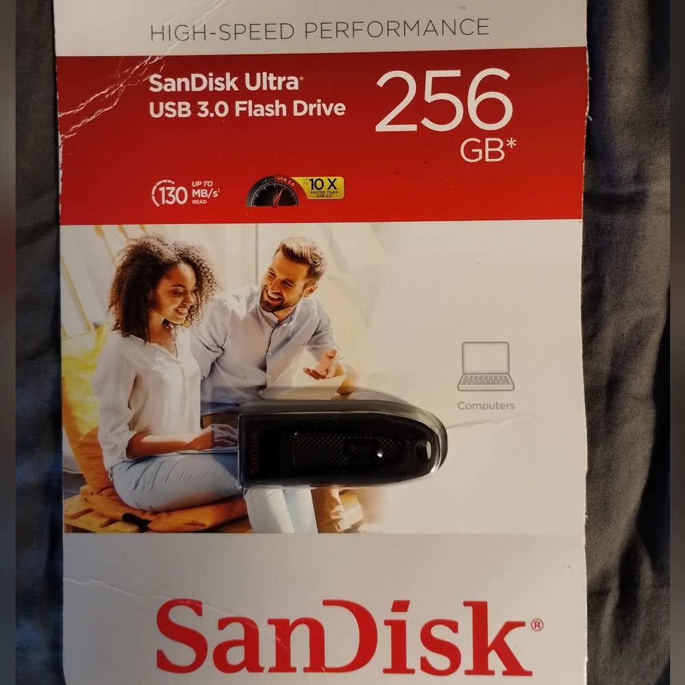 SanDisk 256 GB 3.0 Flash Drive